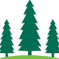 Three Tree Ventures