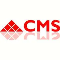 Crystalline Mirror Solutions