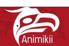 Animikii Indigenous Technology