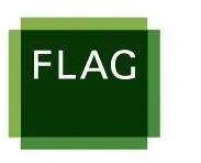 FLAG Capital Management