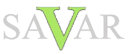 Avi Savar