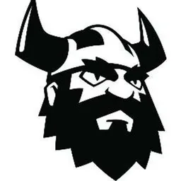 Big Viking Games, VC Fund