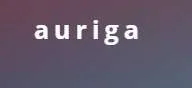 Auriga Partners