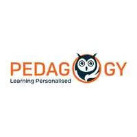 Pedagogy
