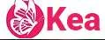 KEA Medicals