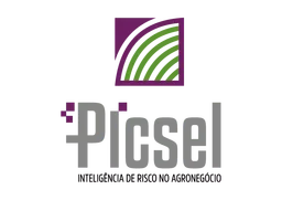 Picsel