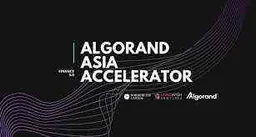 Algorand Asia Accelerator