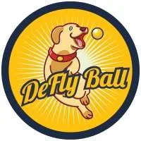 DeflyBall