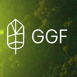 GGF