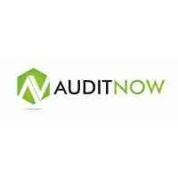 Audit Now