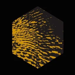 Material Evolution