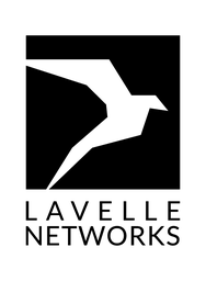 Lavelle Networks