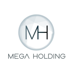 MEGA Holding, VC Fund