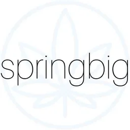springbig