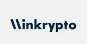 Winkrypto, VC Fund