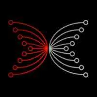Input Output