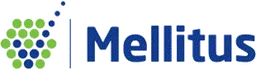 Mellitus