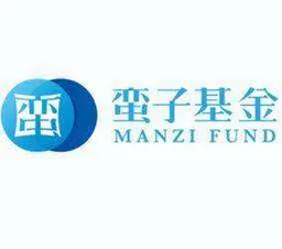 Manzi Fund, VC Fund