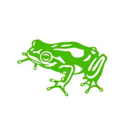 frogVentures