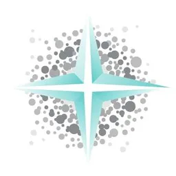 Lucida Medical