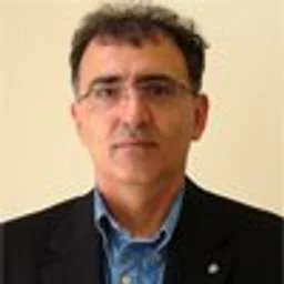 Hakan Kostepen