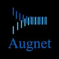 Augnet