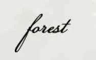 Forest