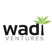 Wadi Ventures, VC Fund