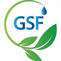 Global Sustainable Future