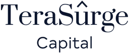 TeraSurge Capital, VC Fund