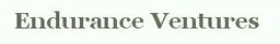 Endurance Ventures