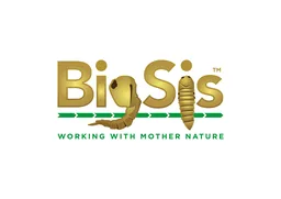 BigSis