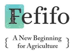 Fefifo