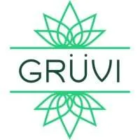 Grüvi