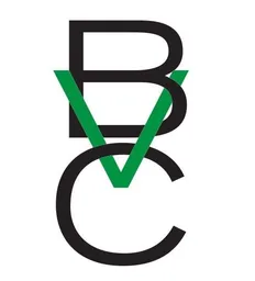 B Venture Capital