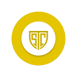 Synergy Coalition Esports