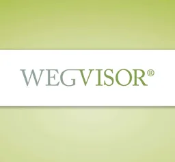 WEGVISOR, VC Fund