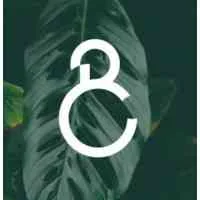 Bower Collective