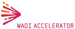 Wadi Accelerator