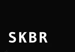 SKBR, VC Fund