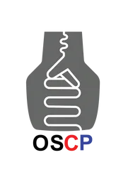 One Silicon Chip Photonics