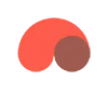 Parasut