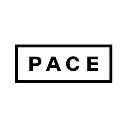 Pace Gallery, VC Fund