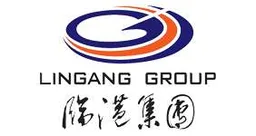 Shanghai Lingang Economic Development, VC Fund