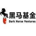 Dark Horse Ventures