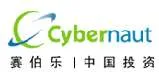Cybernaut Venture Capital, VC Fund