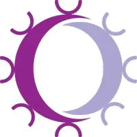 Repertoire Immune Medicines