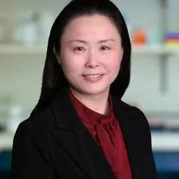 Jing Zhou