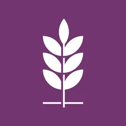 Binar Academy