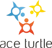 Ace Turtle Omni Pvt Ltd